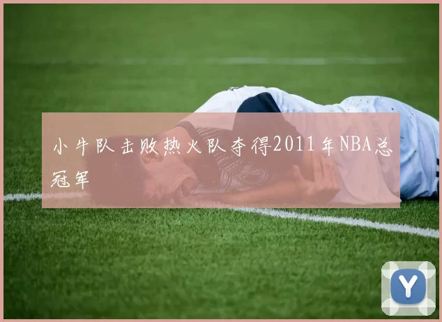 小牛队击败热火队夺得2011年NBA总冠军