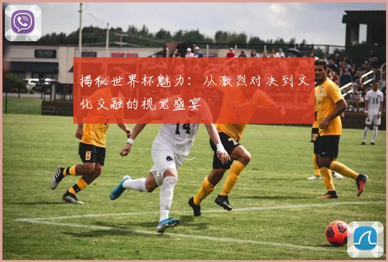 揭秘世界杯魅力：从激烈对决到文化交融的视觉盛宴
