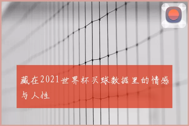 藏在2021世界杯买球数据里的情感与人性