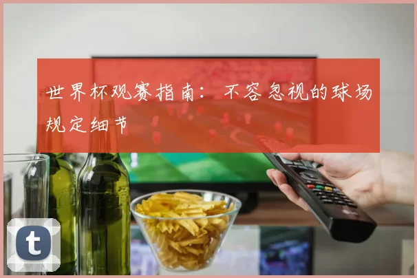 世界杯观赛指南:不容忽视的球场规定细节
