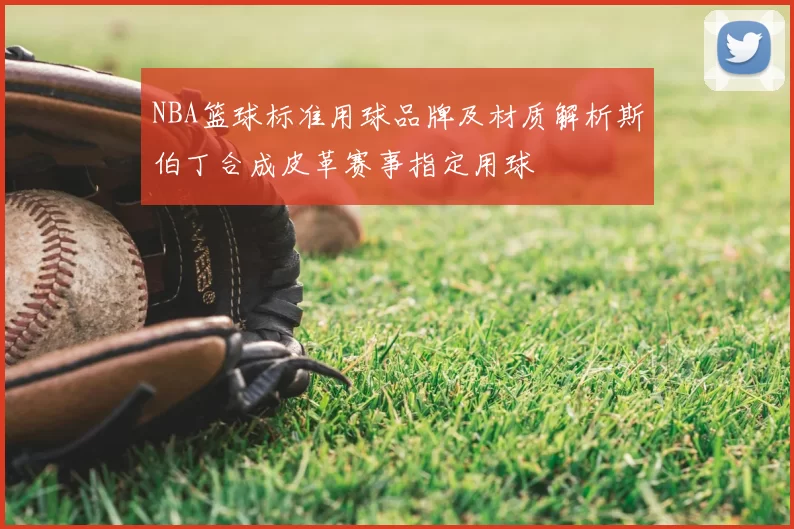 NBA篮球标准用球品牌及材质解析斯伯丁合成皮革赛事指定用球