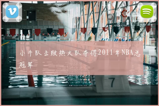 小牛队击败热火队夺得2011年NBA总冠军