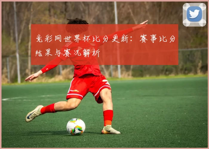 竞彩网世界杯比分更新:赛事比分结果与赛况解析