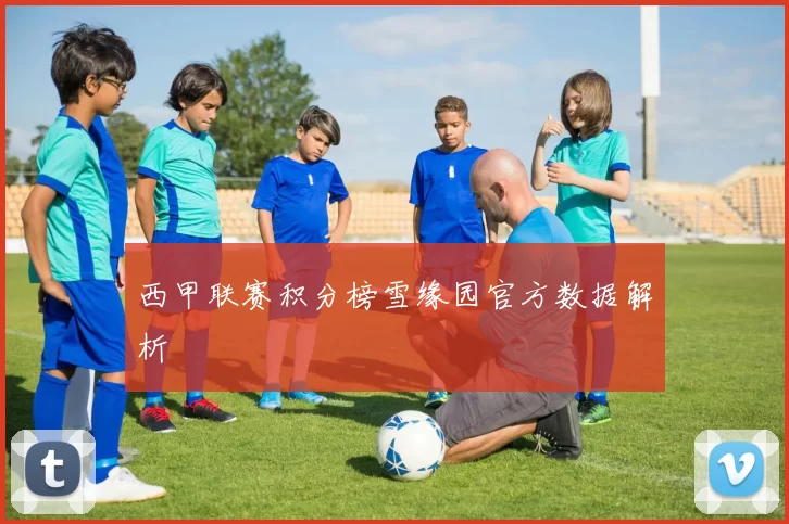 西甲联赛积分榜雪缘园官方数据解析