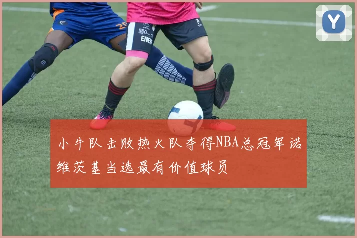 小牛队击败热火队夺得NBA总冠军诺维茨基当选最有价值球员