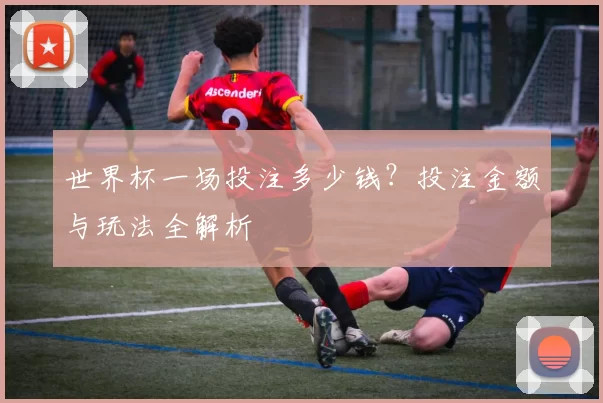 世界杯一场投注多少钱？投注金额与玩法全解析