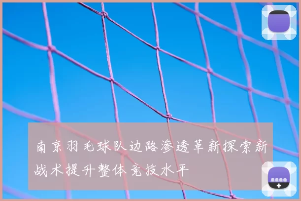 南京羽毛球队边路渗透革新探索新战术提升整体竞技水平