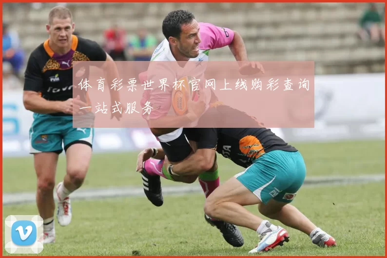 体育彩票世界杯官网上线购彩查询一站式服务