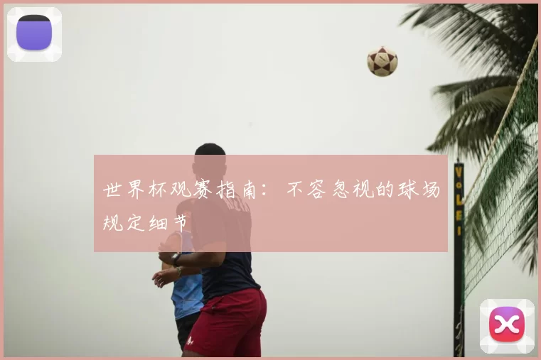 世界杯观赛指南：不容忽视的球场规定细节