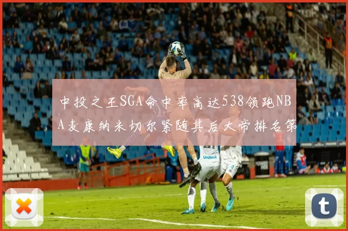 中投之王SGA命中率高达538领跑NBA麦康纳米切尔紧随其后大帝排名第七
