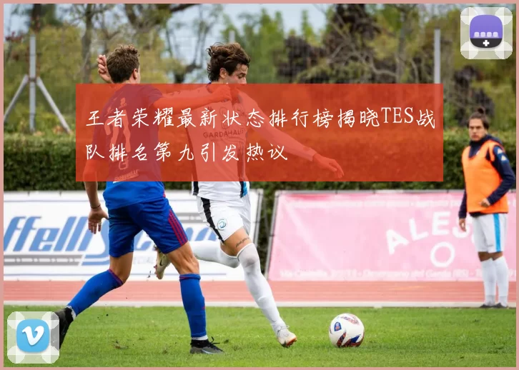 王者荣耀最新状态排行榜揭晓TES战队排名第九引发热议