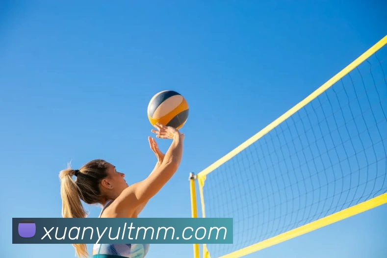 爱游戏体育发展历程